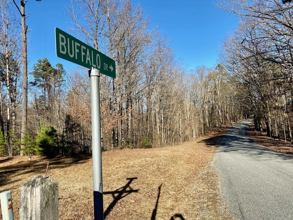 Lot 45 Buffalo Drive