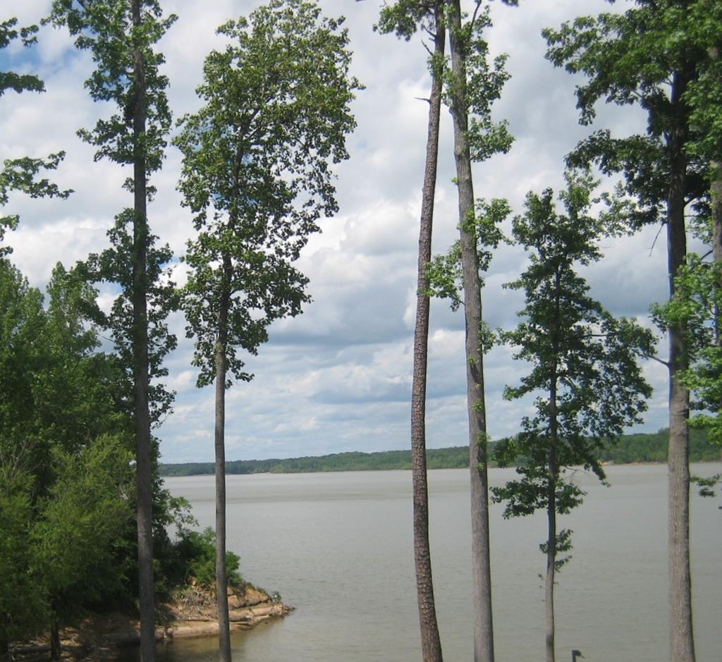 Lot 45 Buffalo Drive