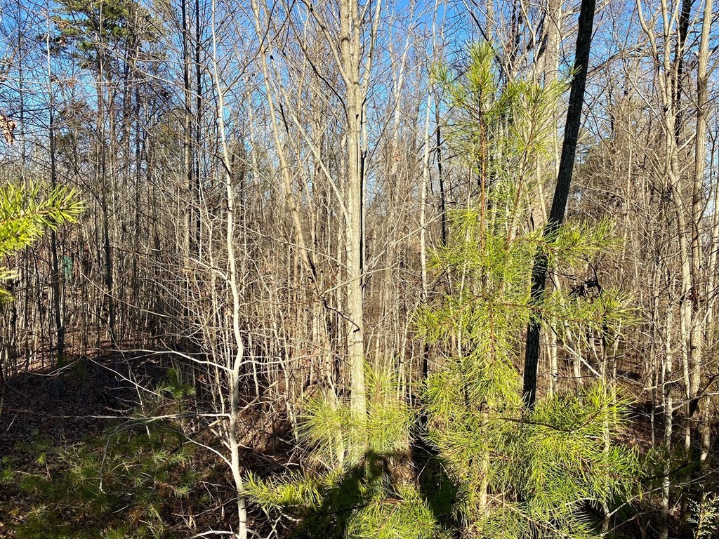 Lot 45 Buffalo Drive