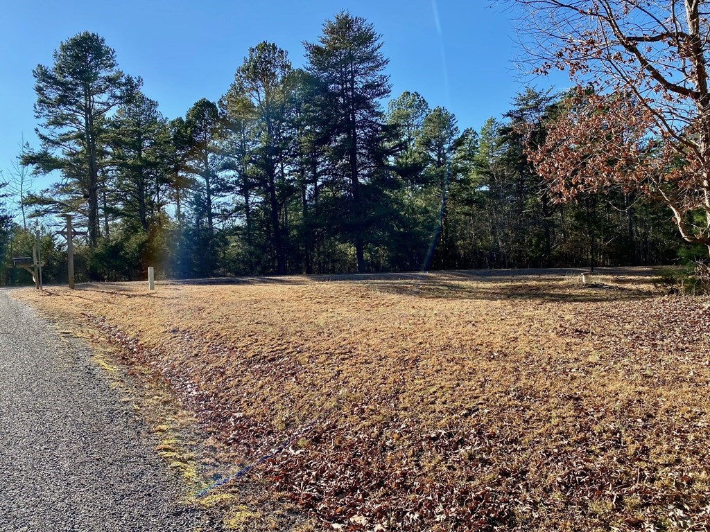 Lot 45 Buffalo Drive