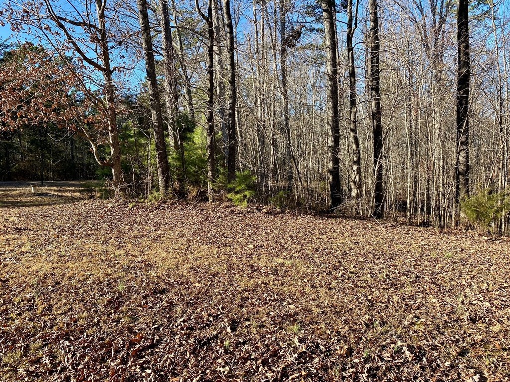 Lot 45 Buffalo Drive