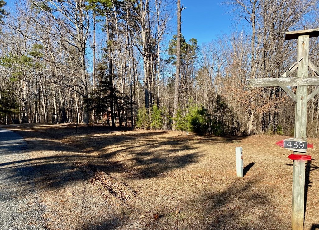 Lot 45 Buffalo Drive