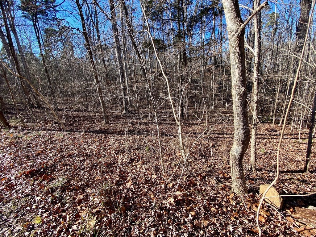 Lot 45 Buffalo Drive