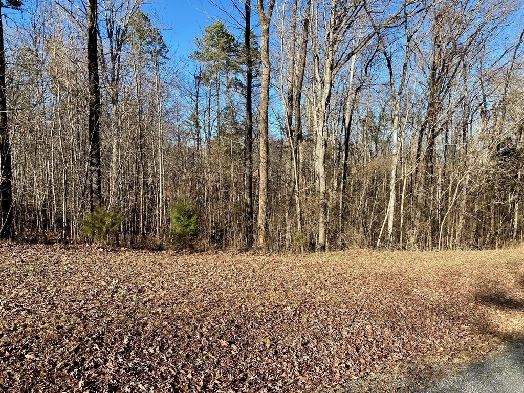 Lot 45 Buffalo Drive