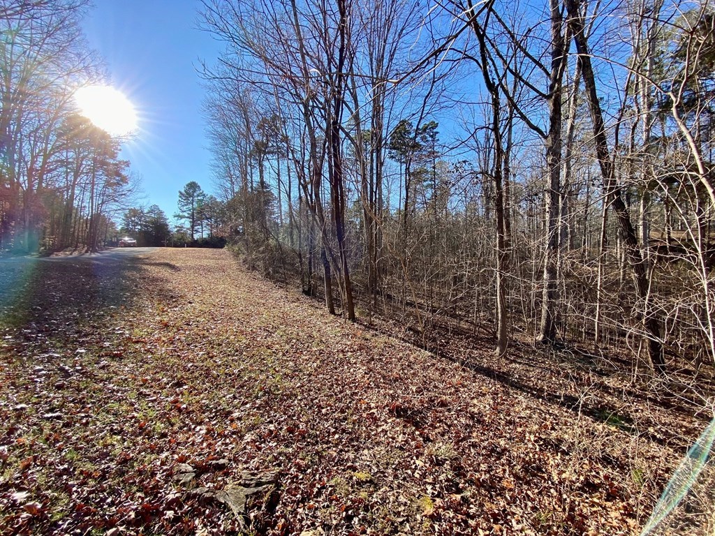 Lot 45 Buffalo Drive