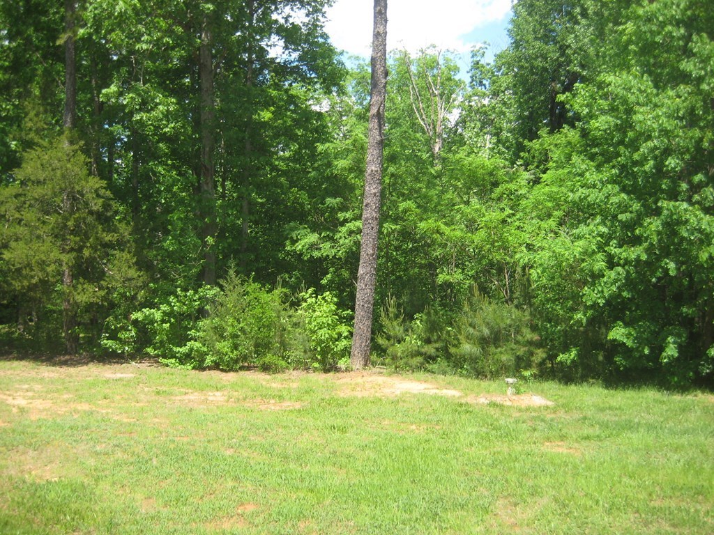 Lot 45 Buffalo Drive
