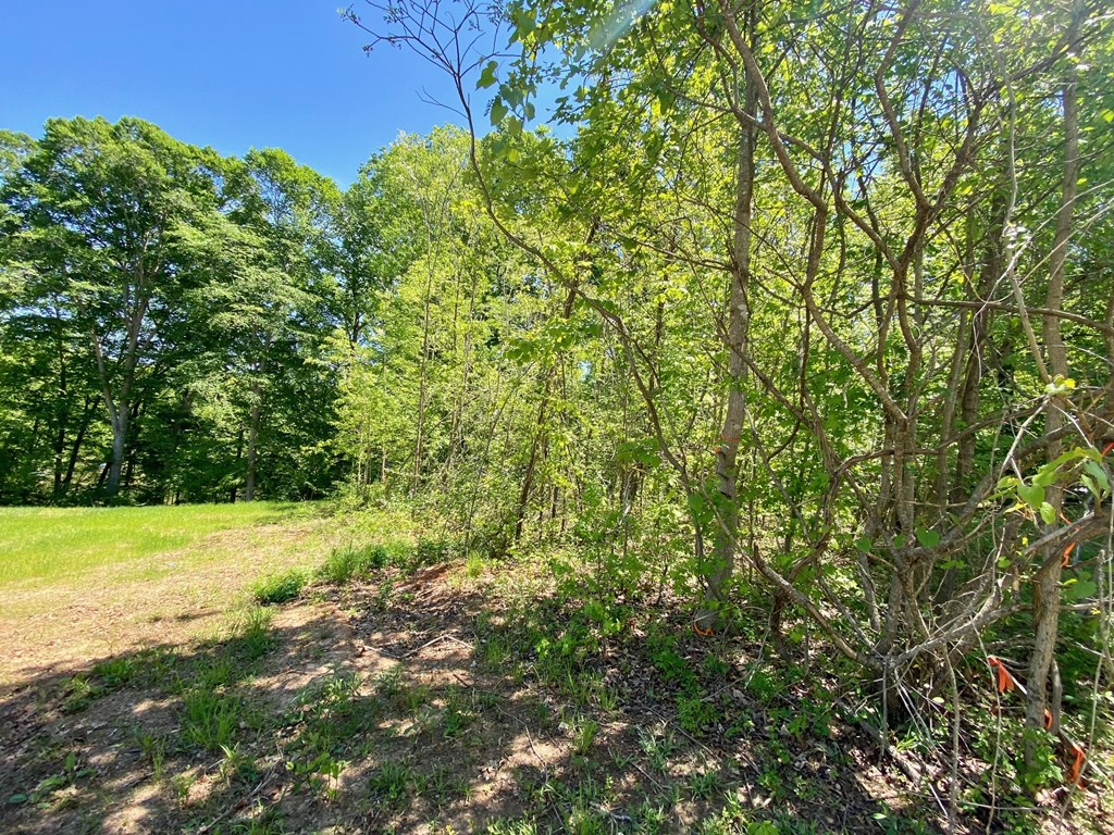 Lot 5 Palomino Road