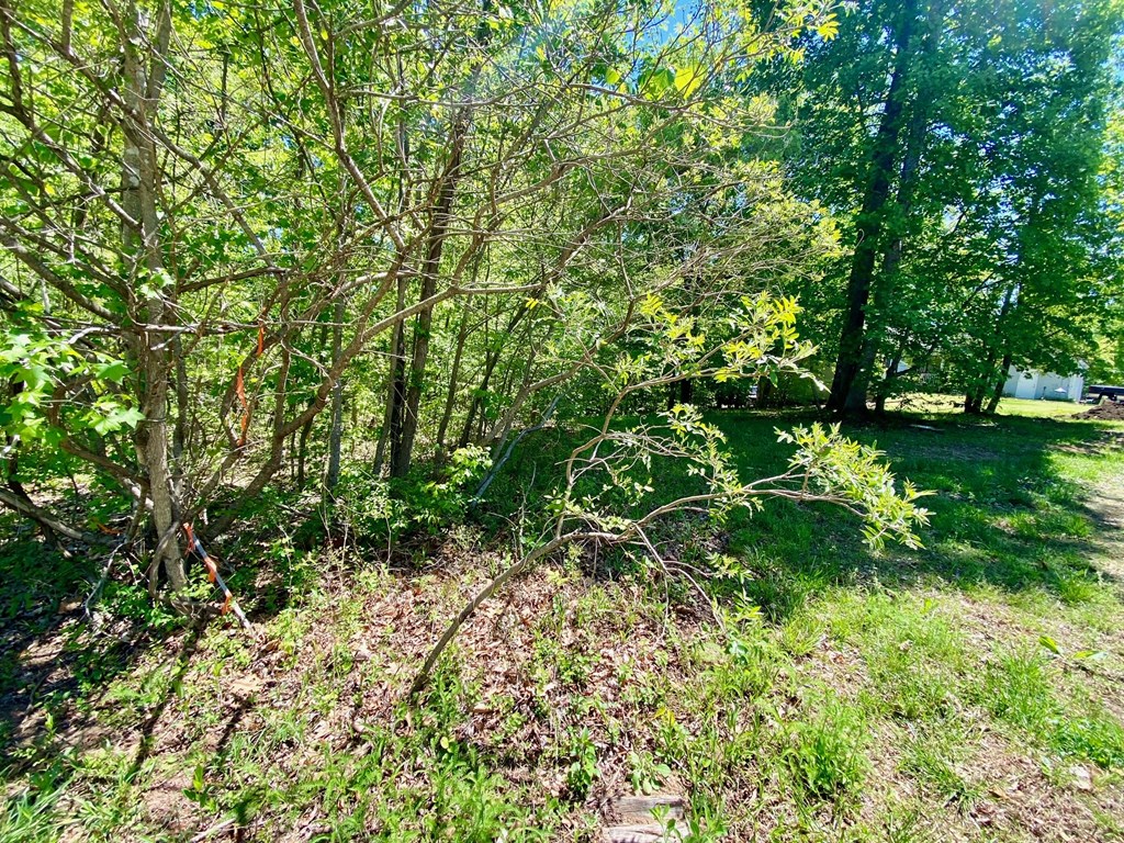 Lot 5 Palomino Road