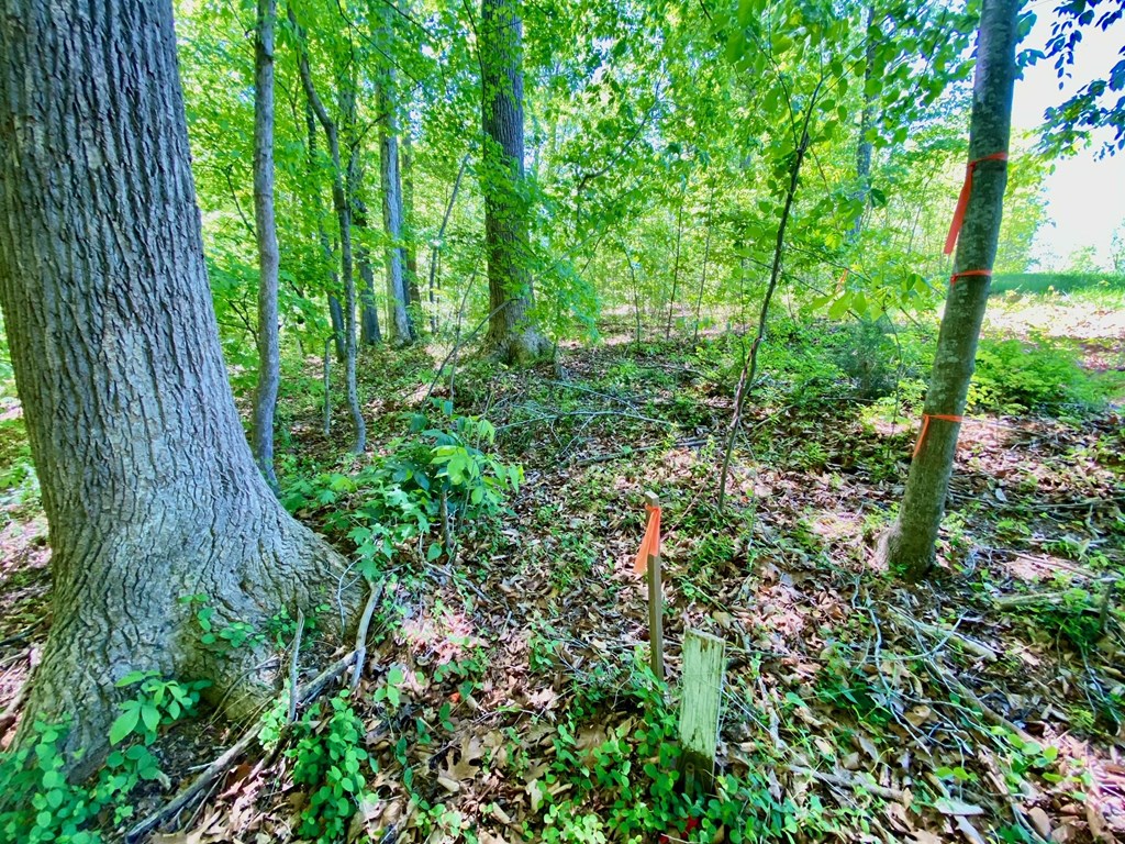 Lot 5 Palomino Road