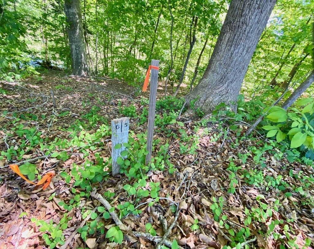 Lot 5 Palomino Road