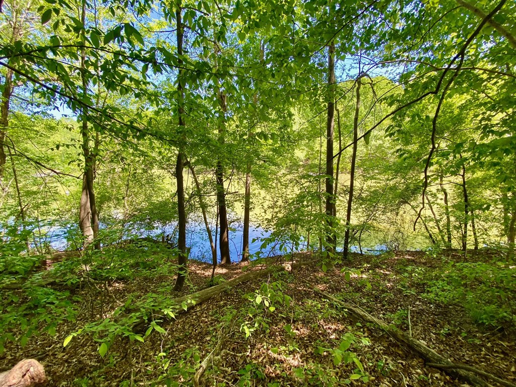 Lot 5 Palomino Road