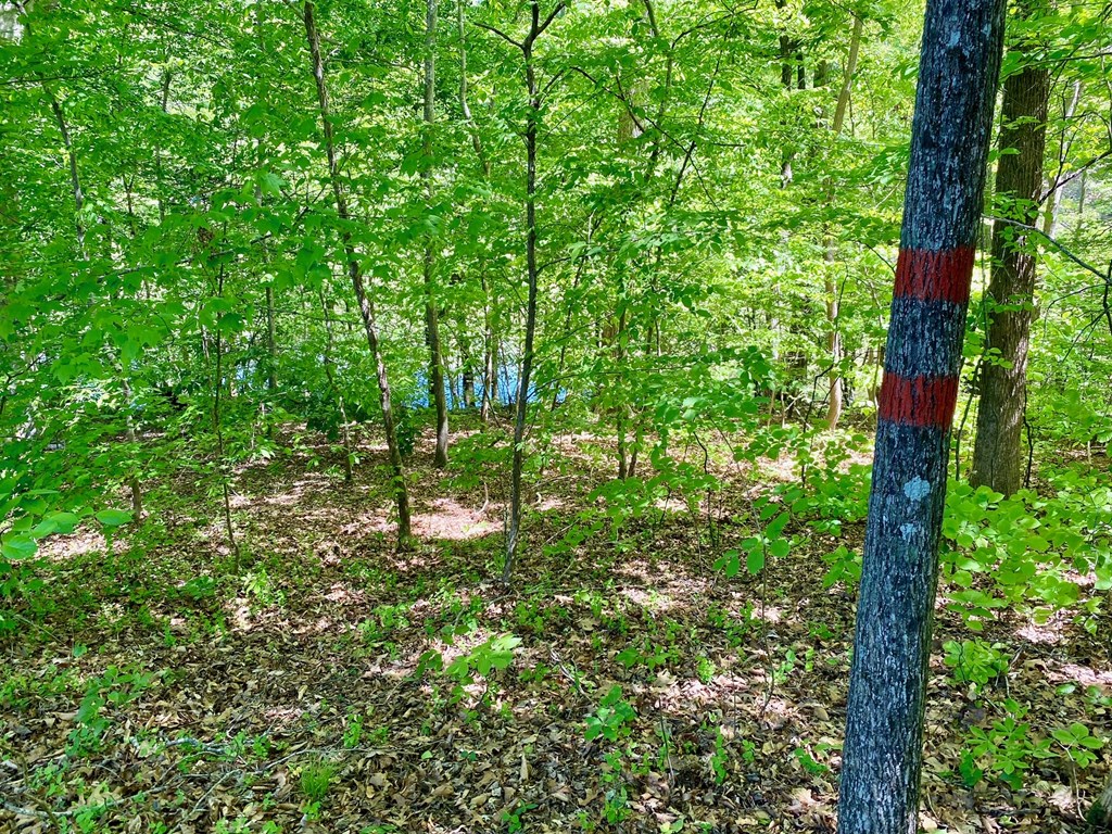 Lot 5 Palomino Road