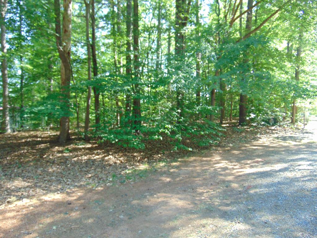 3107 Piney Point Drive