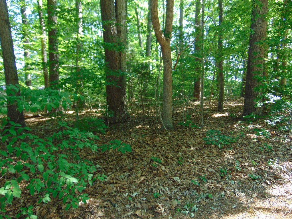 3107 Piney Point Drive