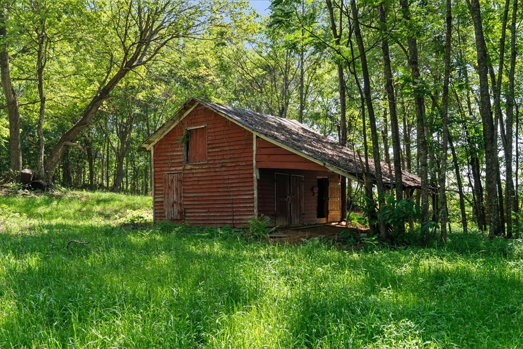 3095 State Shed Road