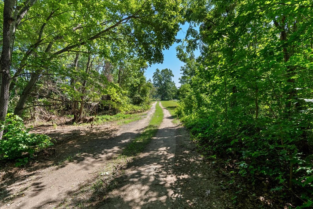 3095 State Shed Road