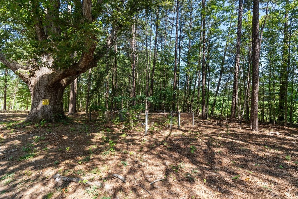 3095 State Shed Road