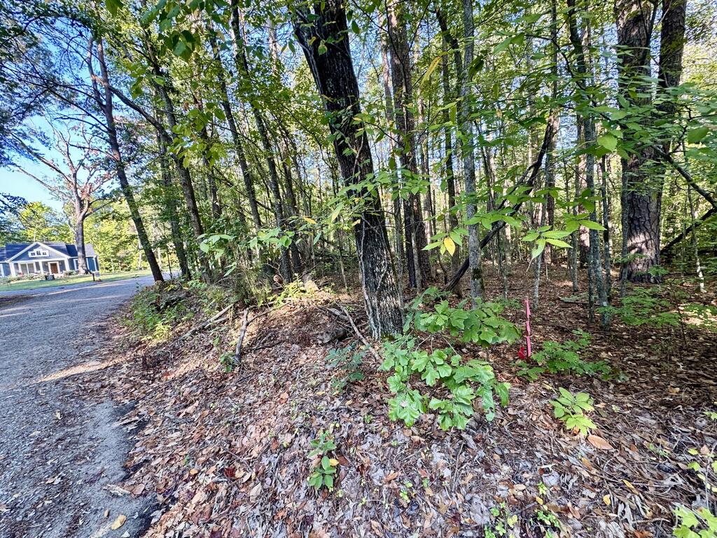 281 Powhatan Road