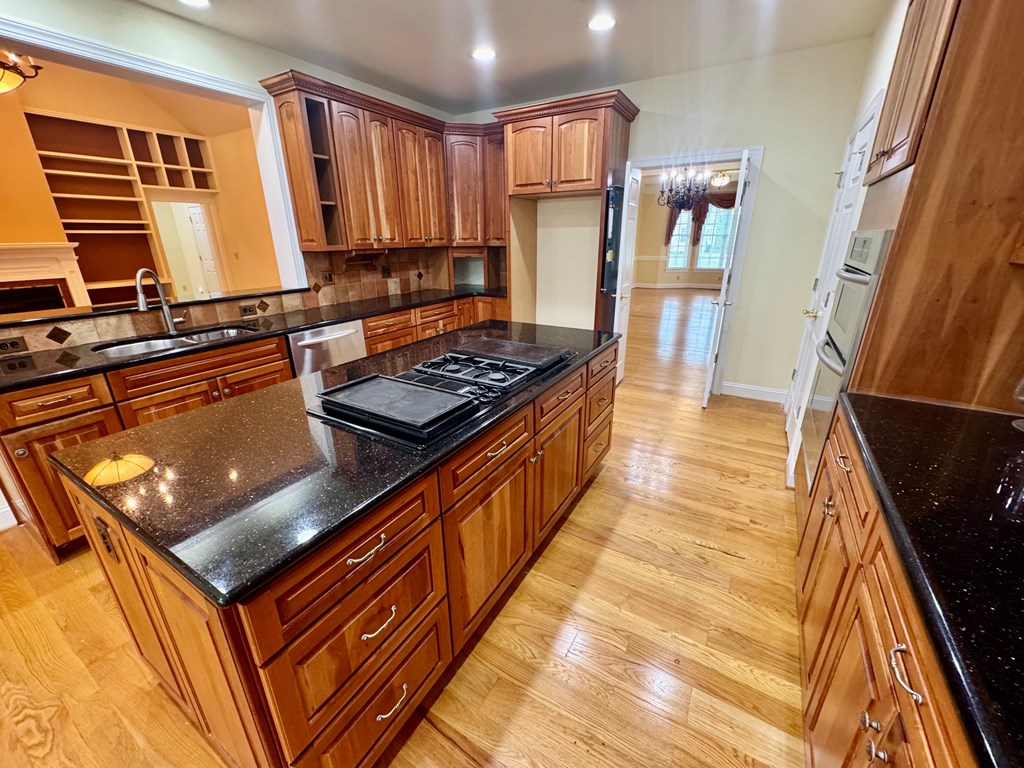 454 Grace Stone Drive
