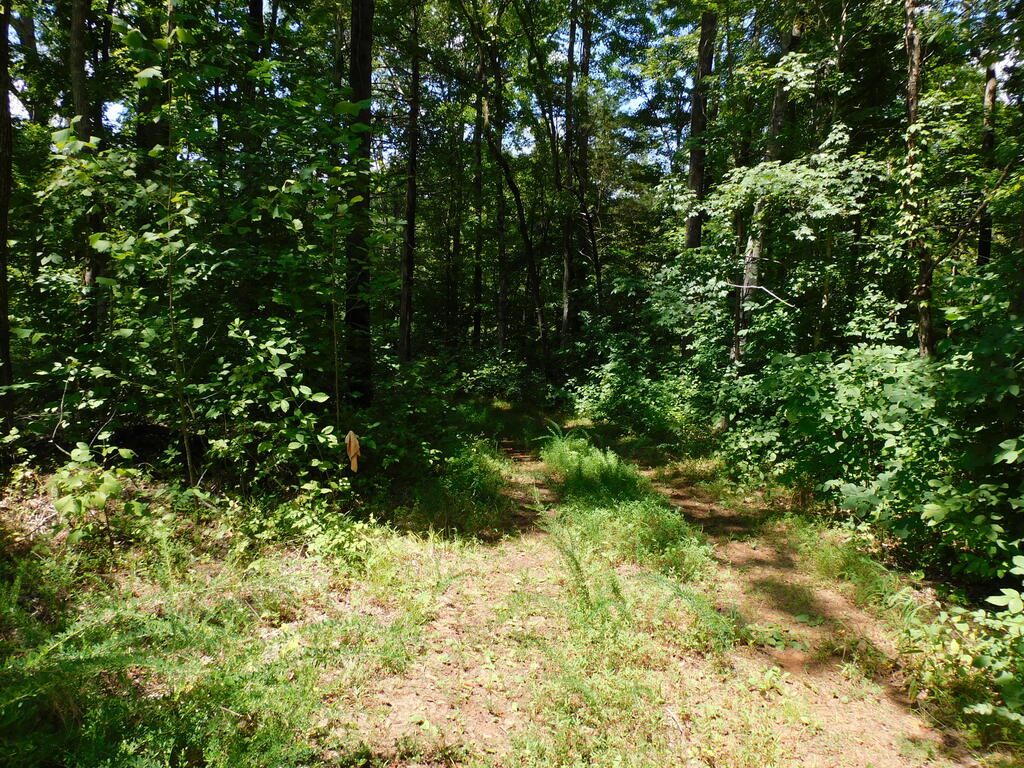 98.63 AC Pointer Road