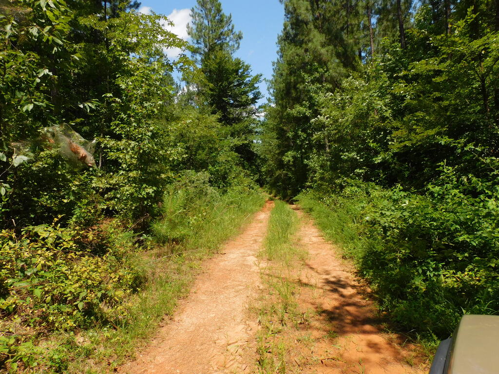 98.63 AC Pointer Road