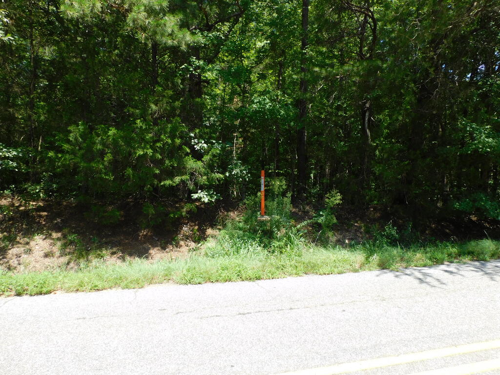 98.63 AC Pointer Road