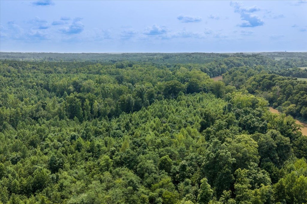 98.63 AC Pointer Road