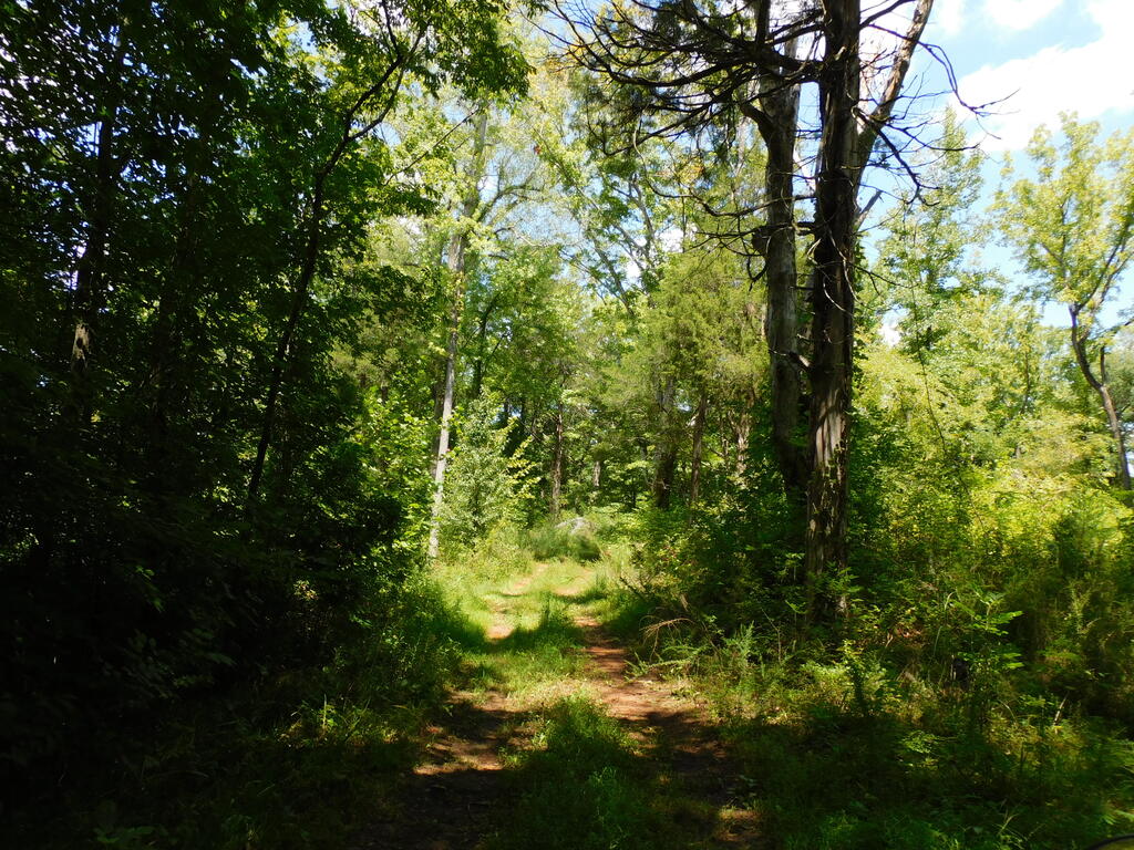 98.63 AC Pointer Road