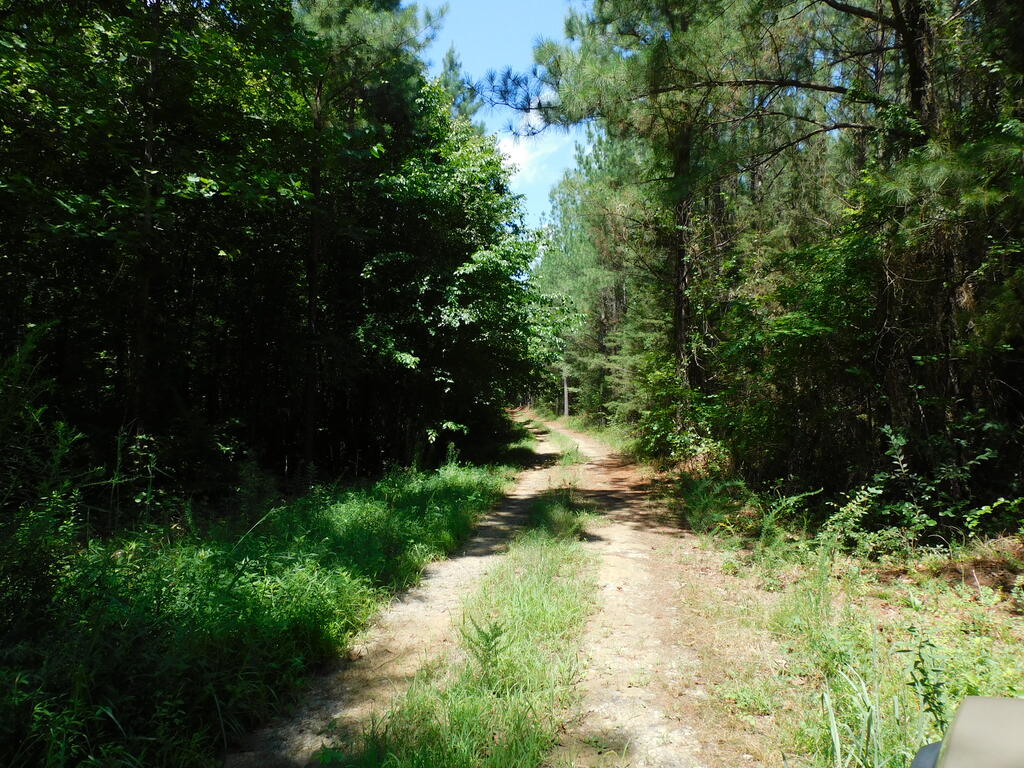 98.63 AC Pointer Road