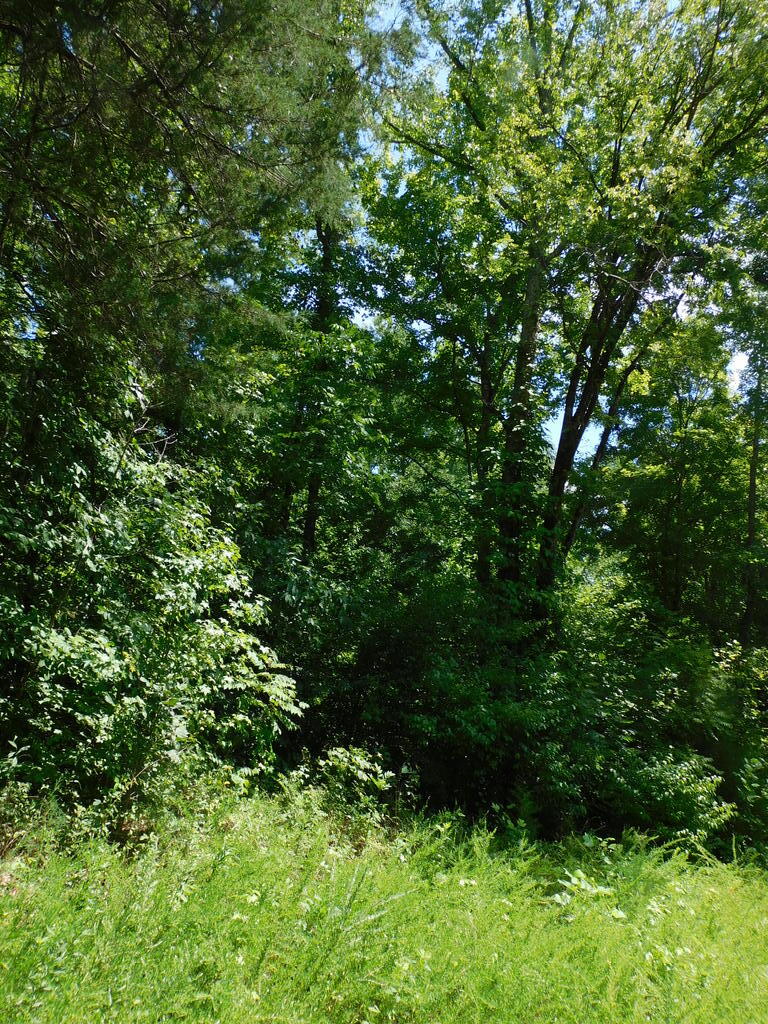 98.63 AC Pointer Road
