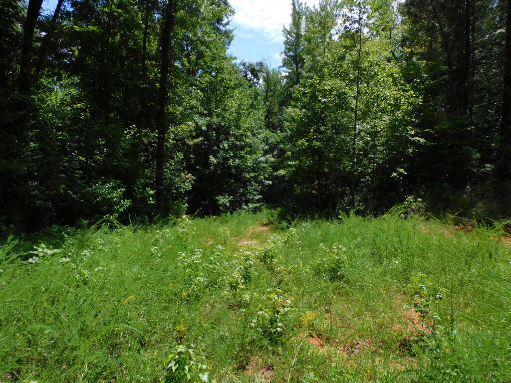 98.63 AC Pointer Road
