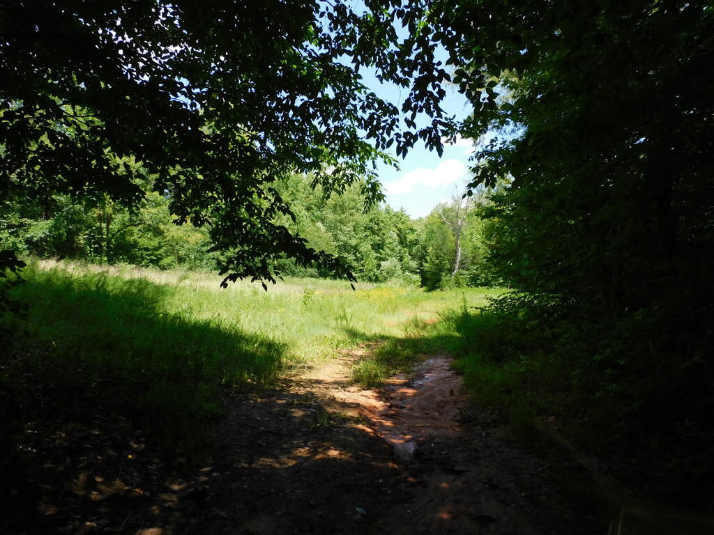 98.63 AC Pointer Road