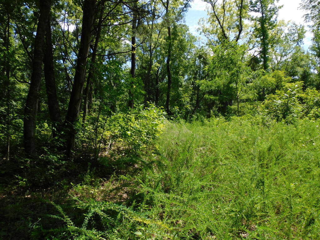 98.63 AC Pointer Road