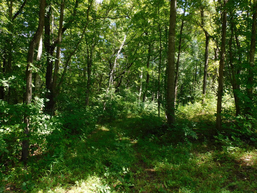 98.63 AC Pointer Road