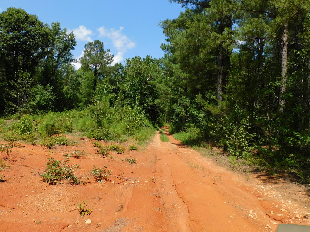 98.63 AC Pointer Road