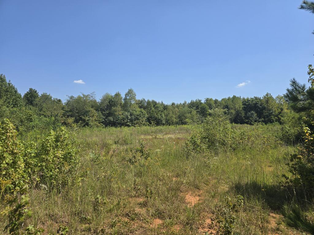 98.63 AC Pointer Road