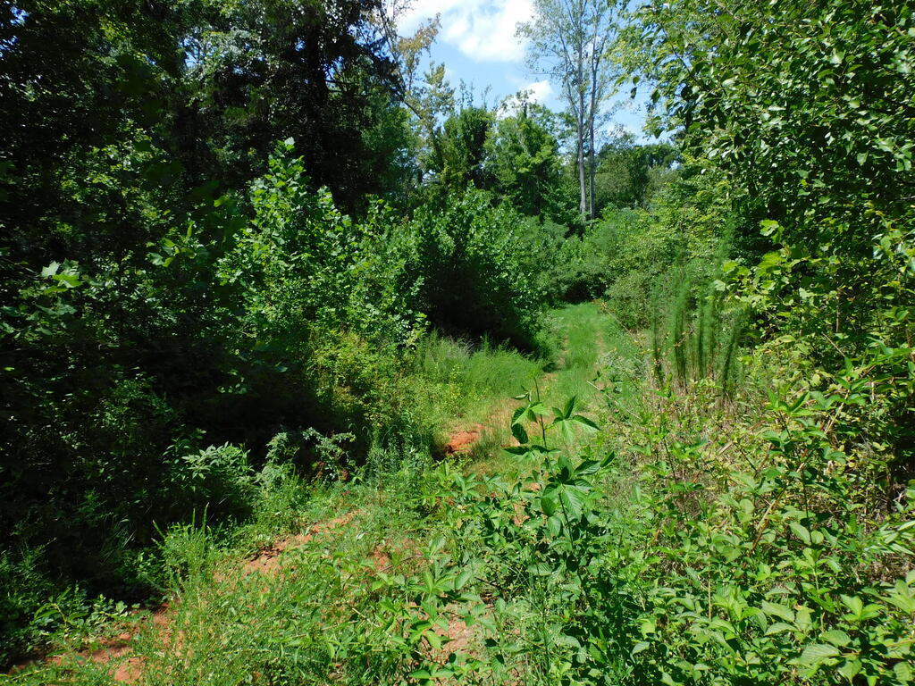 98.63 AC Pointer Road