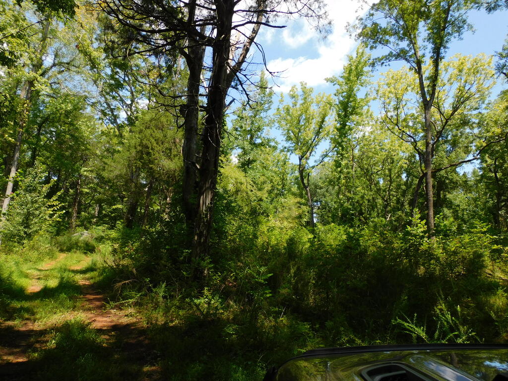 98.63 AC Pointer Road