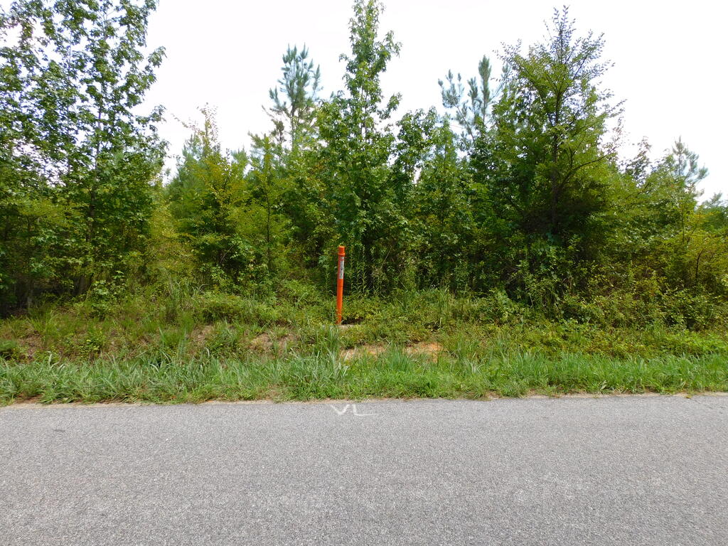 98.63 AC Pointer Road