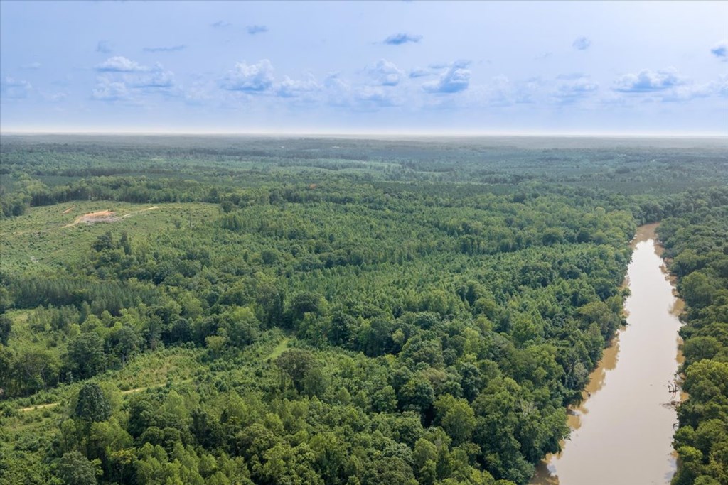 98.63 AC Pointer Road
