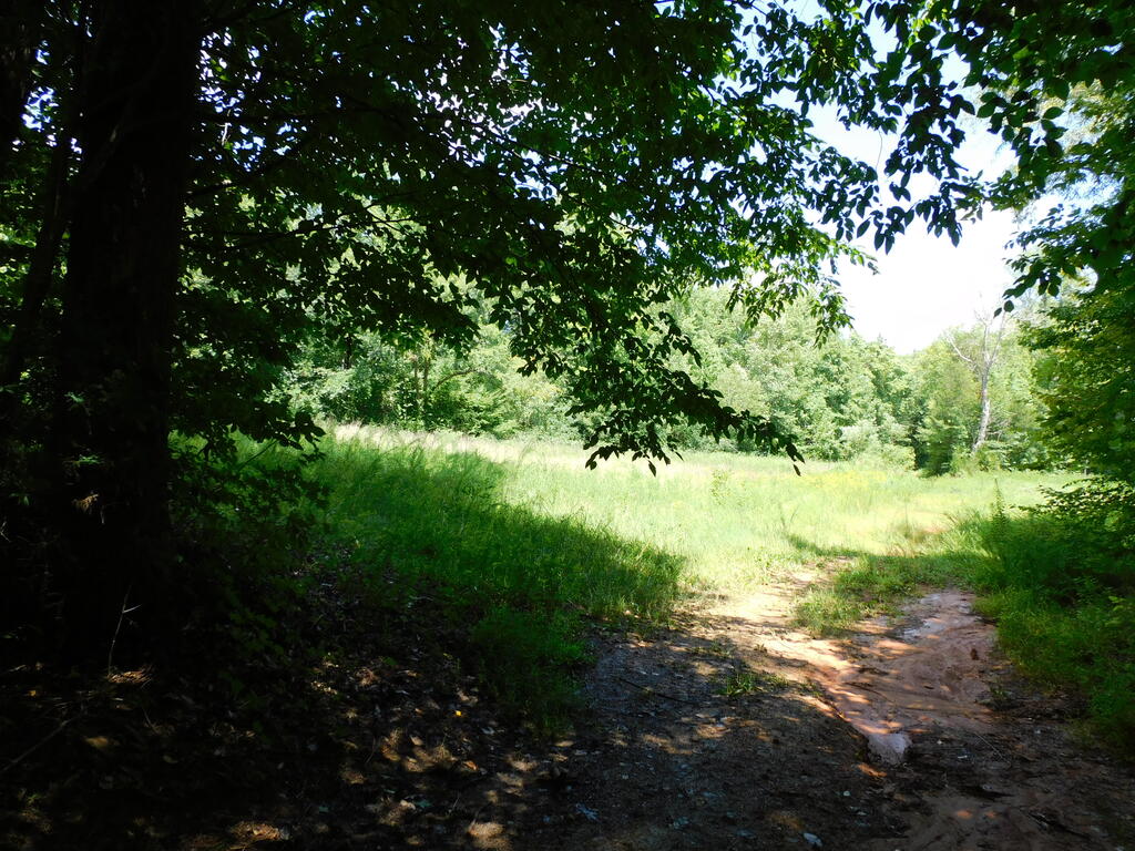 98.63 AC Pointer Road