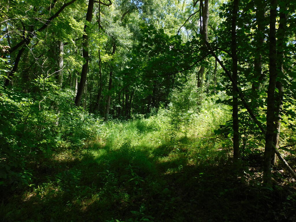 98.63 AC Pointer Road