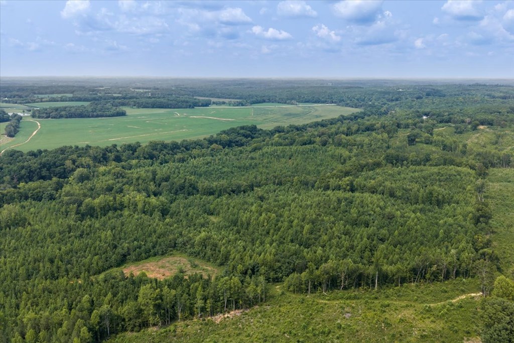 98.63 AC Pointer Road