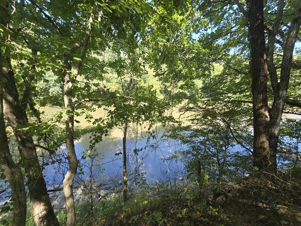 98.63 AC Pointer Road