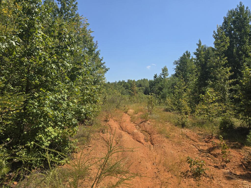 98.63 AC Pointer Road