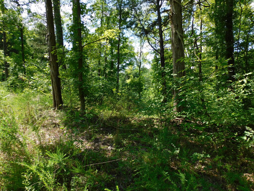 98.63 AC Pointer Road