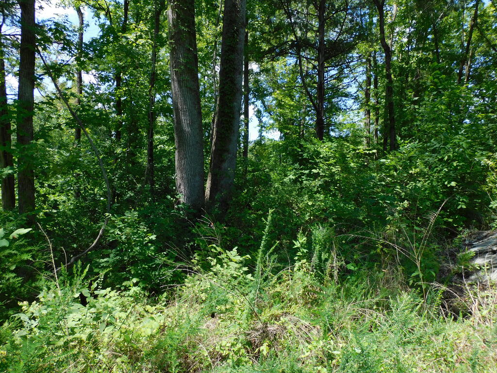 98.63 AC Pointer Road
