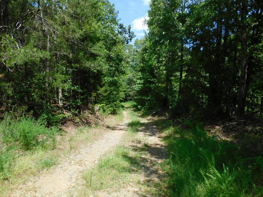 98.63 AC Pointer Road