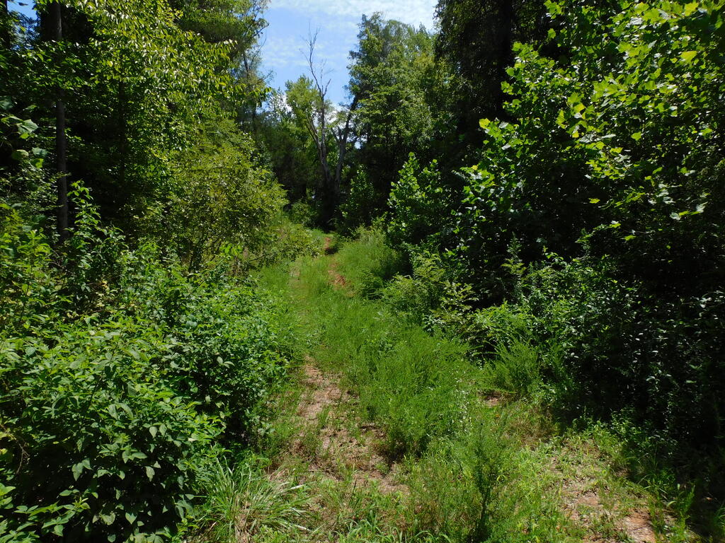 98.63 AC Pointer Road