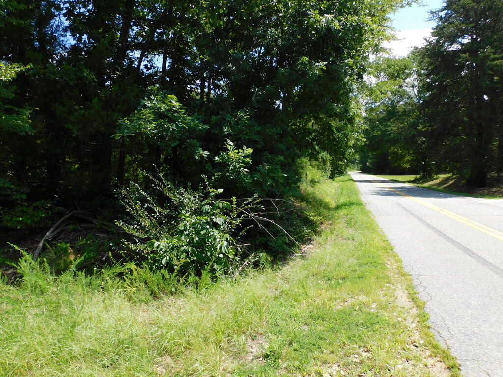 98.63 AC Pointer Road